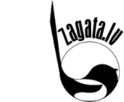 customLogo CustomLogo