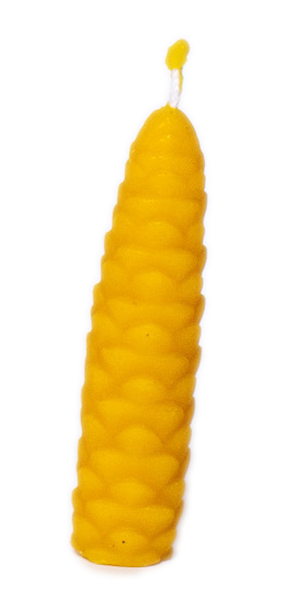ciekurs